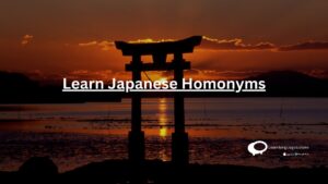 Learn Japanese Homonyms