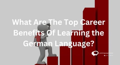 What Are The Top Career Benefits Of Learning the German Language?