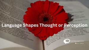 Language Shapes Thought or Perception