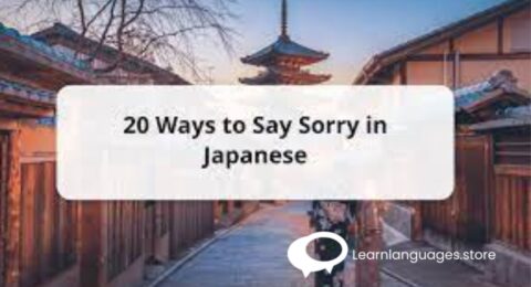 How to Say “Sorry” in Korean: 10 Remarkable Ways to Apologize in Different Conditions