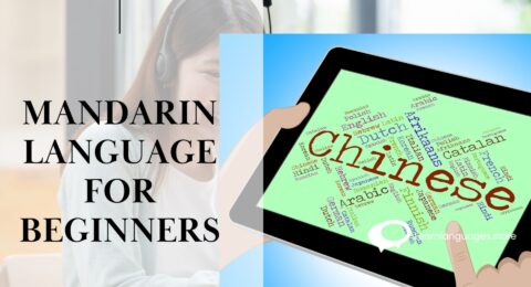 Mandarin Language for Beginners: 10 Basics You Absolutely Need to Learn First