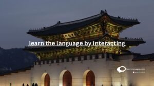 learn the language by interacting