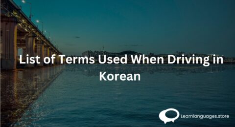 List of Terms Used When Driving in Korean
