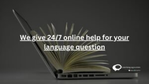 We give 24/7 online help for your language question