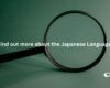 Can I get a job with JLPT level N3 certification?