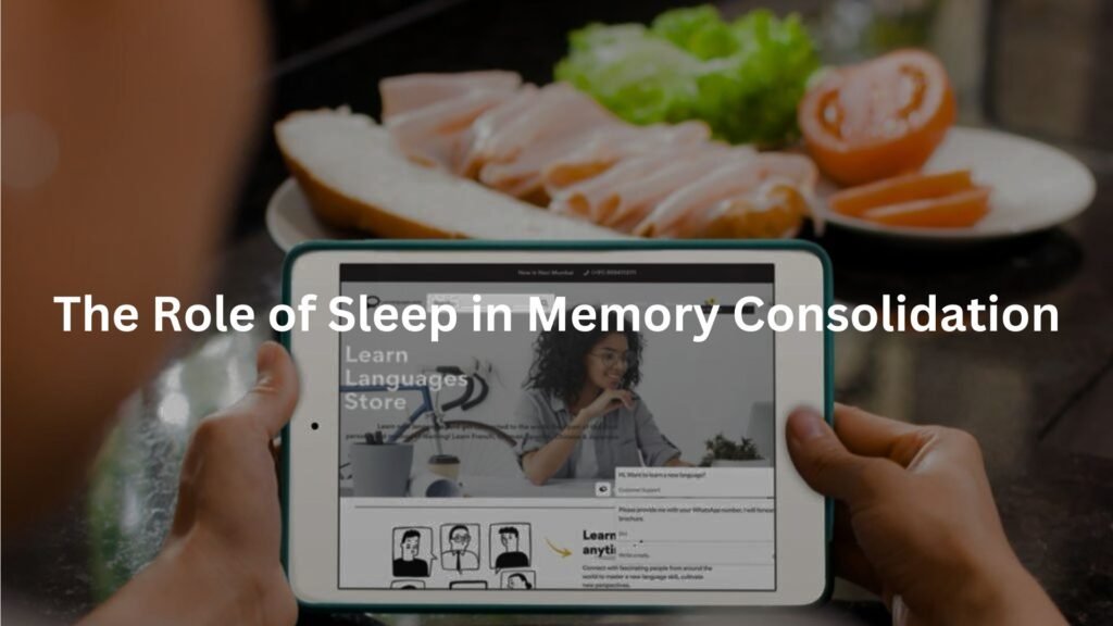 The Role of Sleep in Memory Consolidation