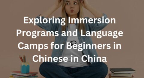 Exploring Immersion Programs and Language Camps for Beginners in Chinese in China