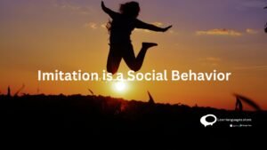 Imitation is a Social Behavior