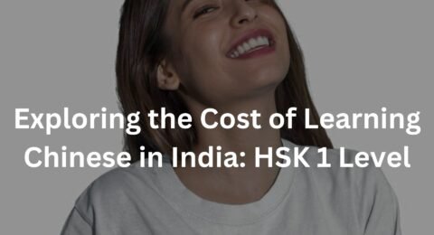 Exploring the Cost of Learning Chinese in India: HSK 1 Level