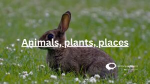 animals ,plants ,places