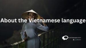 about the vietnamese language