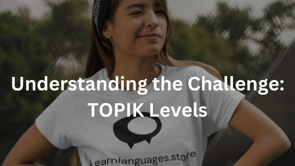 Understanding the Challenge: TOPIK Levels