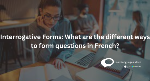 studying French interrogative forms