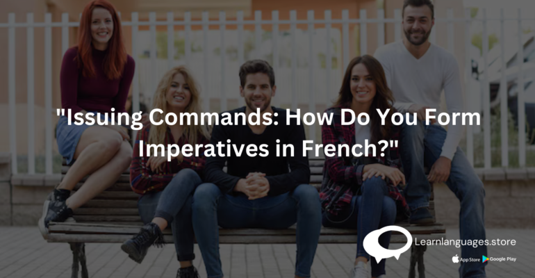 French imperative mood examples with explanations.