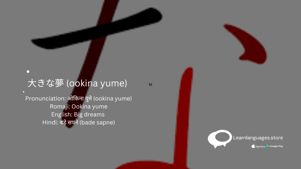 大きな夢-ookina-yume