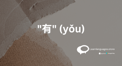 Image of the Chinese character "有" (yǒu)