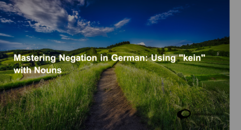 Mastering Negation in German Using kein with Nouns (1)