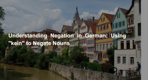 Understanding Negation in German Using kein to Negate Nouns (1)