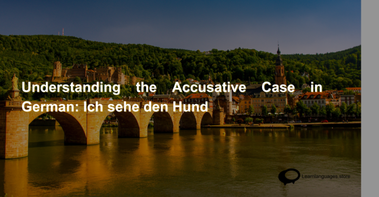 Understanding the Accusative Case in German Ich sehe den Hund (1)