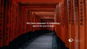 Why learn japanese? 8 compelling reasons for you to learn