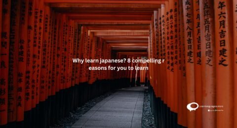 Why learn japanese? 8 compelling reasons for you to learn