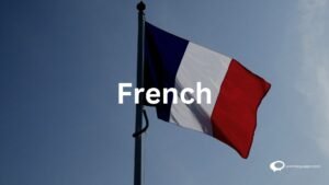 Creative visual guide with illustrations showcasing steps to learn French independently. Engaging graphics represent the self-learning process, providing a visually appealing roadmap for mastering the French language