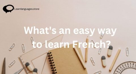 : Collage featuring the emblem or iconic visuals of the best French institute in India for learners. The image showcases the institute's commitment to excellence in French language education and a welcoming learning environment