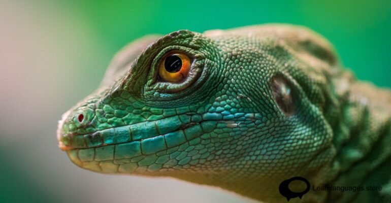 SOUNDS THAT MAKE ENGLISH HARD