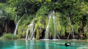 'Eco-Travel in Bocas del Toro' with lush rainforests, crystal-clear waters, diverse wildlife, and sustainable travel activities.