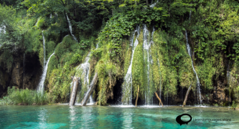 'Eco-Travel in Bocas del Toro' with lush rainforests, crystal-clear waters, diverse wildlife, and sustainable travel activities.