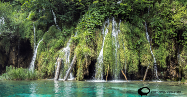 'Eco-Travel in Bocas del Toro' with lush rainforests, crystal-clear waters, diverse wildlife, and sustainable travel activities.