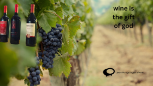 'French Wine Regions' with maps, vineyards, grape varieties, and iconic bottles from renowned French wine-producing areas.