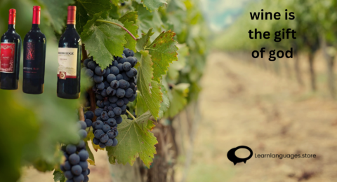 'French Wine Regions' with maps, vineyards, grape varieties, and iconic bottles from renowned French wine-producing areas.