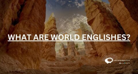 WHAT ARE WORLD ENGLISHES?