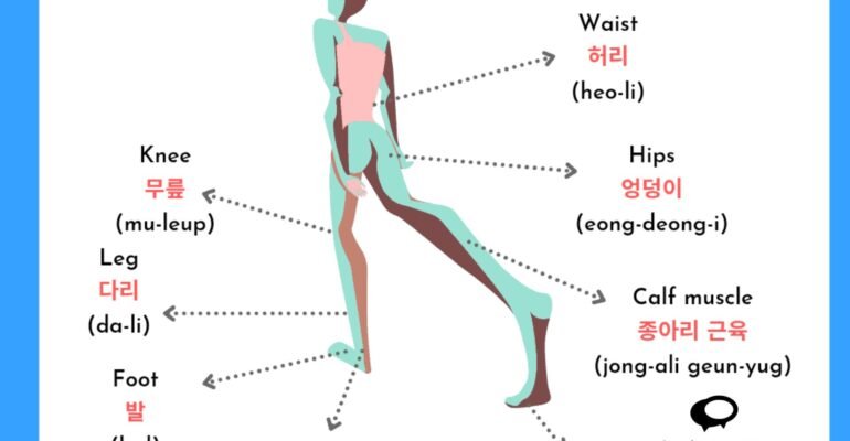 20 Must-know Body Parts in Korean Language: From Head to Toe