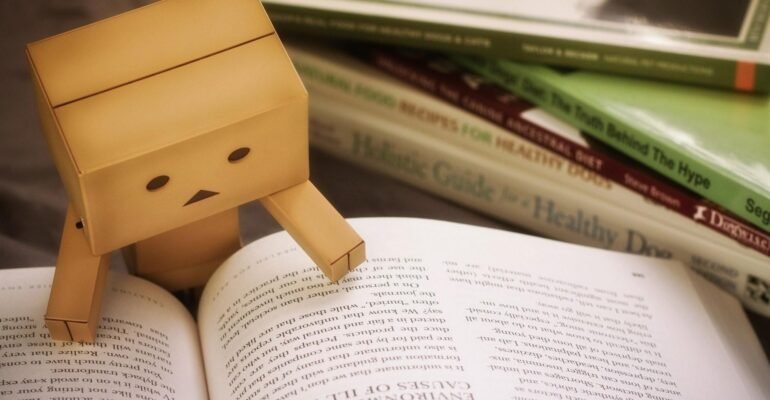 The Common European Framework of Reference for Languages