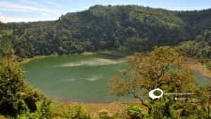 "Image showing colorful paper fish, a symbol of the Poisson d'Avril tradition, often used for pranks and jokes on April 1st in France."