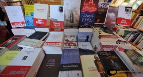 "Illustration depicting a stack of newly released books symbolizing La Rentrée Littéraire - 'La Rentrée Littéraire: A surge of new literary works.'"