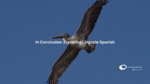 In Conclusion : Exploring Lingopie Spanish