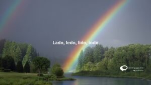 Lado, ledo , lido, lodo