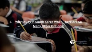 1 Why study in south korea when there are so many other options ?
