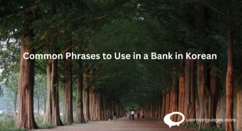 Common Phrases to Use in a Bank in Korean 