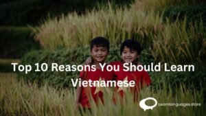 Top 10 Reasons You Should Learn Vietnamese
