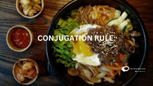 CONJUGATION-RULE