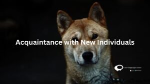 Acqaintance with New Individuals
