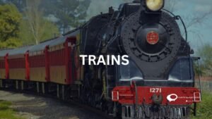 TRAIN