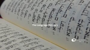 The Language Odyssey