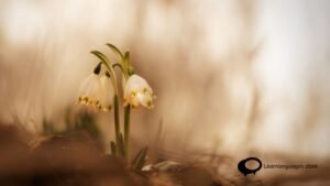 SPEAK WITH K -Spanish STREET SLANG