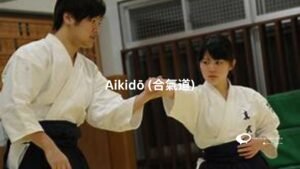 Aikido