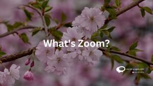 What's Zoom ?